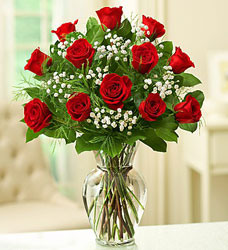 Premium Roses - You Choose Color Flower Power, Florist Davenport FL